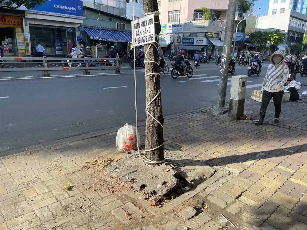 Hàng loạt cây xanh “thoi thóp”, chờ giải cứu ở TP.HCM (6).jpg