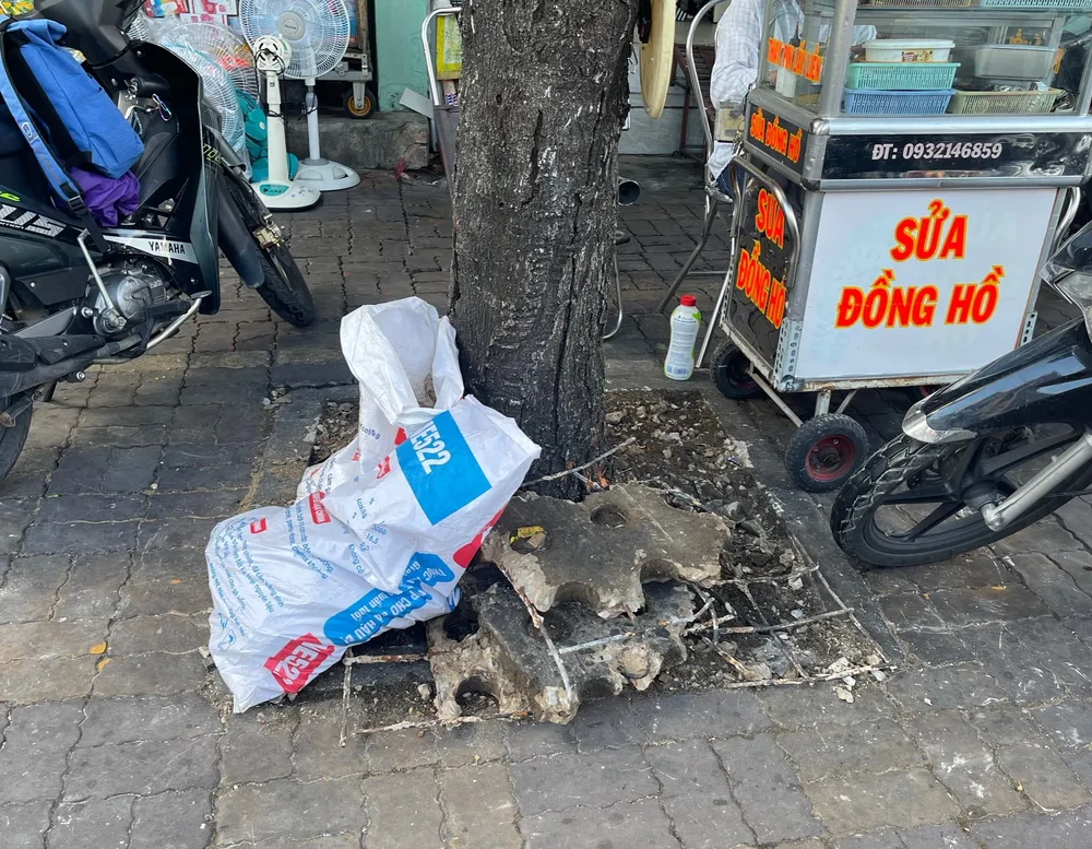 Hàng loạt cây xanh “thoi thóp”, chờ giải cứu ở TP.HCM (8).jpg