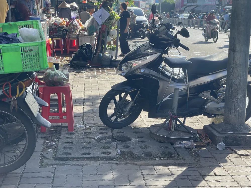 Hàng loạt cây xanh “thoi thóp”, chờ giải cứu ở TP.HCM (9).jpg