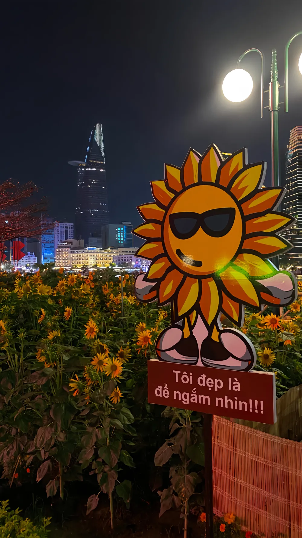 SẮC XUÂN RỰC RỠ_TRẦN CHẾ LINH_Trường Đại học Công Nghiệp TPHCM.JPG