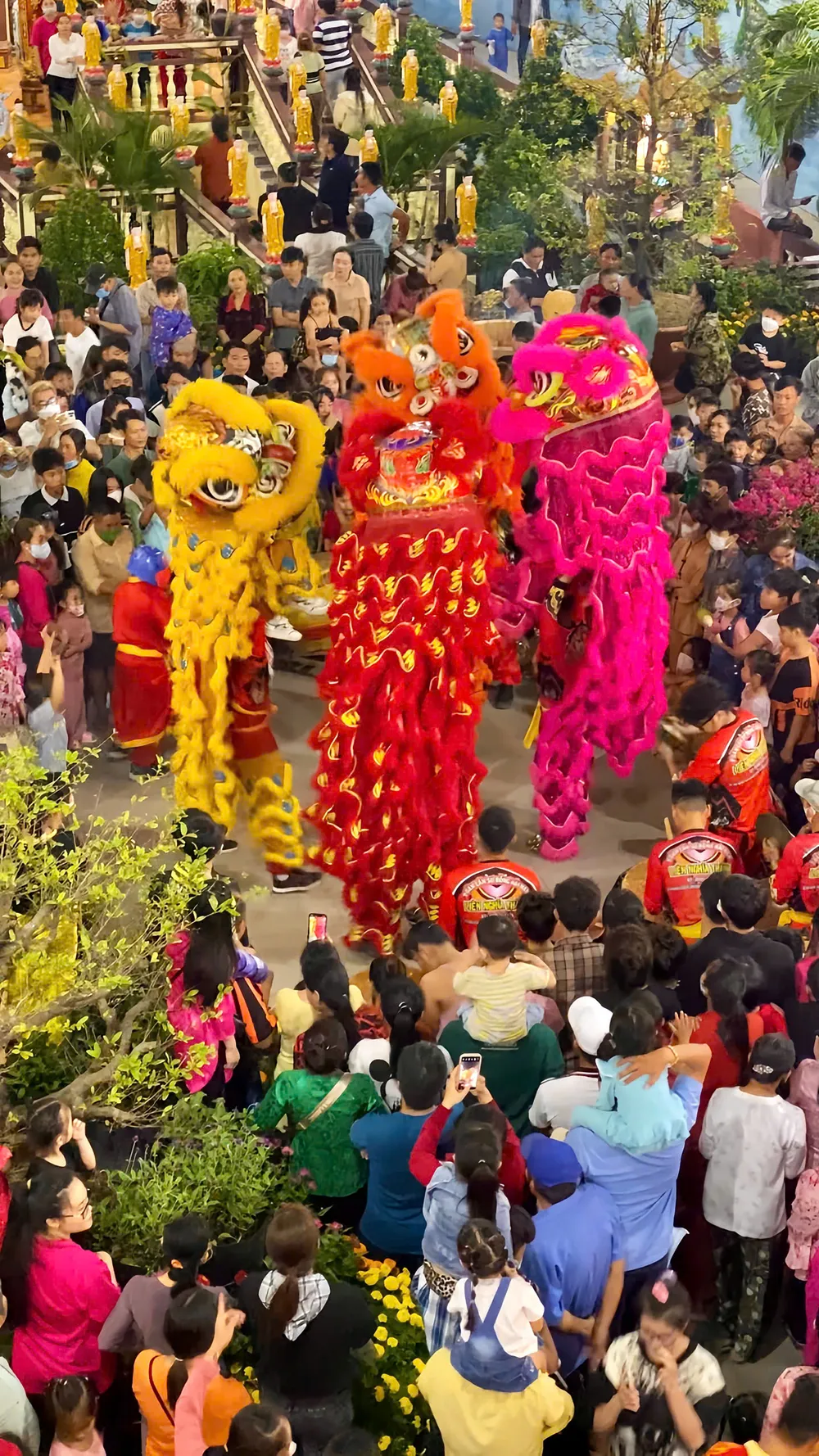 VŨ ĐIỆU MÙA XUÂN_LÊ PHẠM HOÀNG HUY_Trường_ Trường Đại học Văn Hiến .jpg