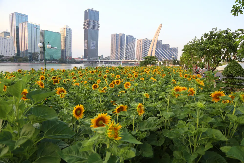 bờ sông Sài Gòn phía Thủ Thiêm (15).JPG