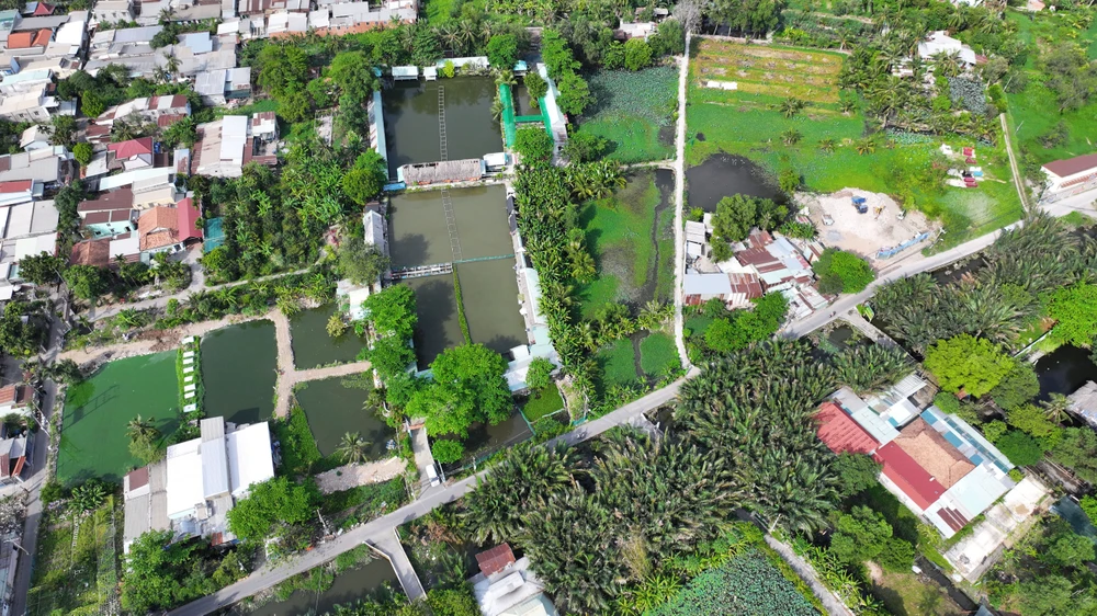 bán đảo thanh đa (7).JPG