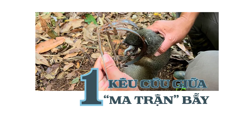 Vườn quốc gia Cát Tiên (11).png