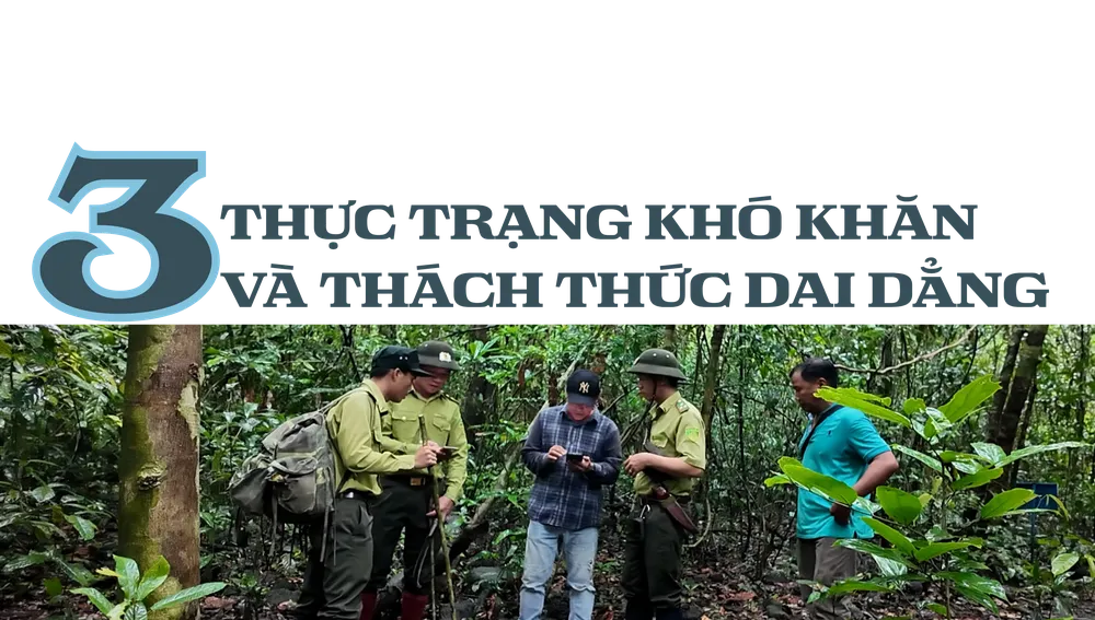 Vườn quốc gia Cát Tiên (13).png