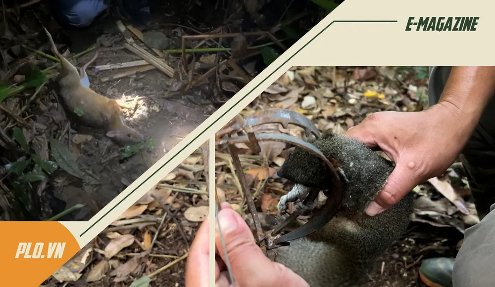 Vườn quốc gia Cát Tiên (3).png