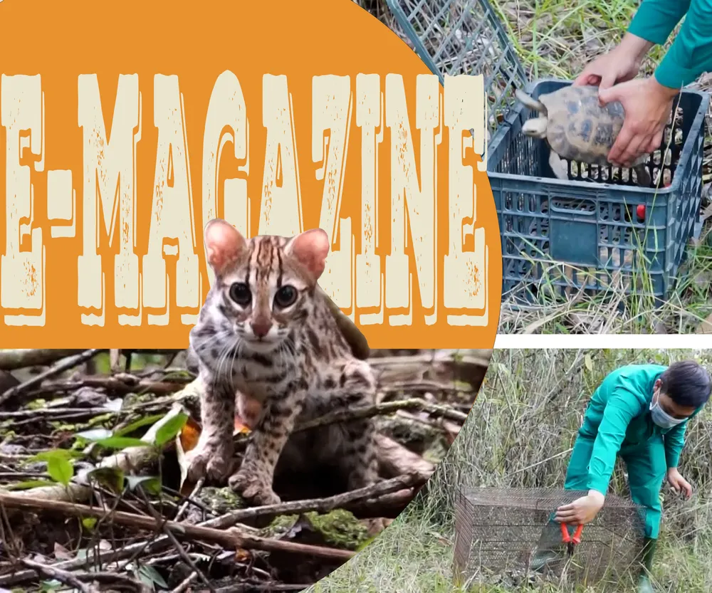 Vườn quốc gia Cát Tiên (5).png