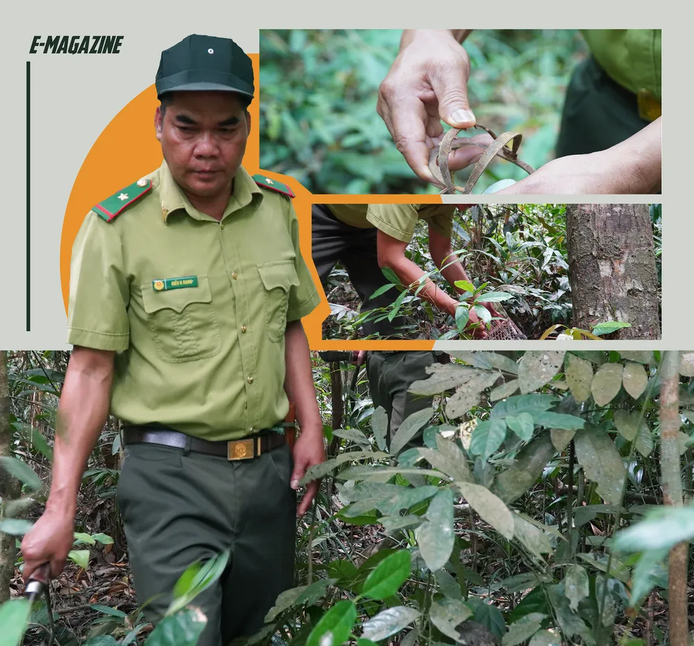 Vườn quốc gia Cát Tiên (6).png