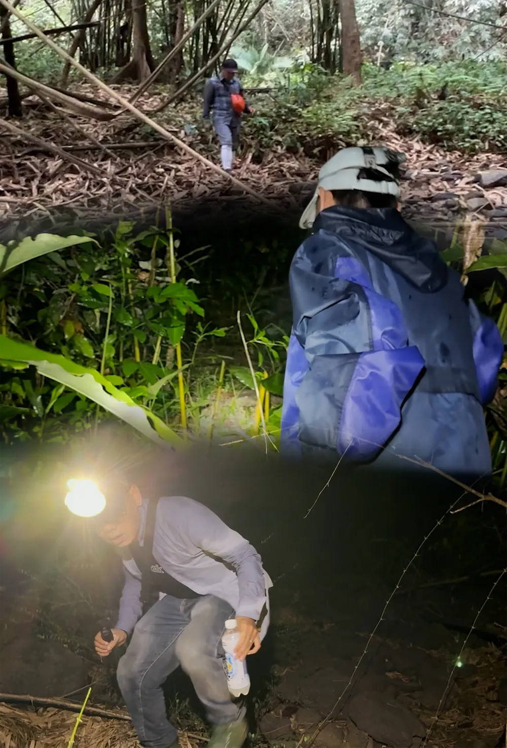 Vườn quốc gia Cát Tiên (7).png