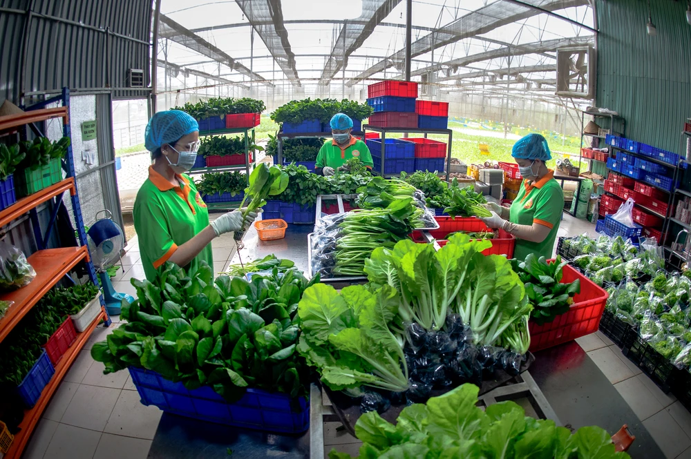 Nguồn thực phẩm xanh sạch, an toàn_Nguyễn Thị Thúy Hằng.jpg