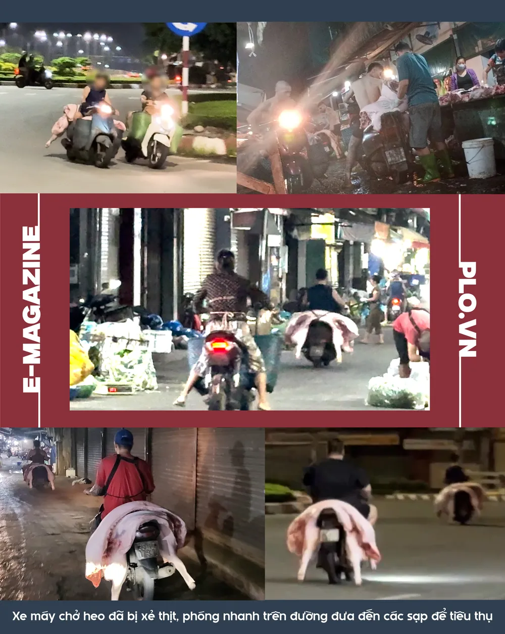 mổ heo lậu (1).png