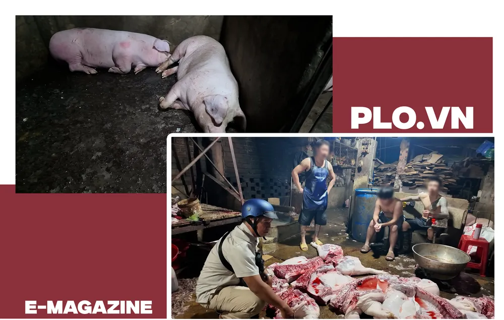 mổ heo lậu (14).png