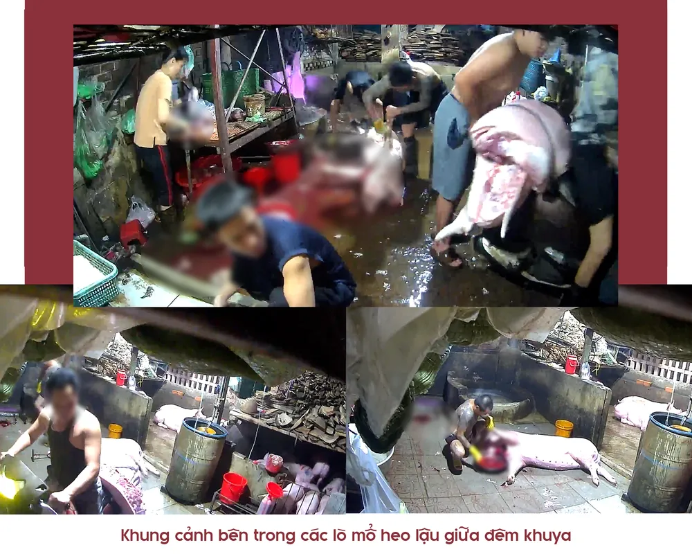 mổ heo lậu (16).png