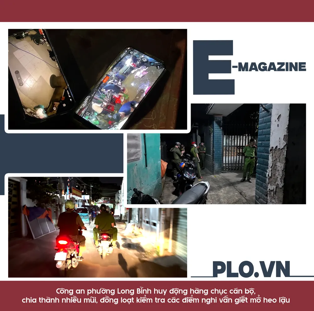 mổ heo lậu (2).png