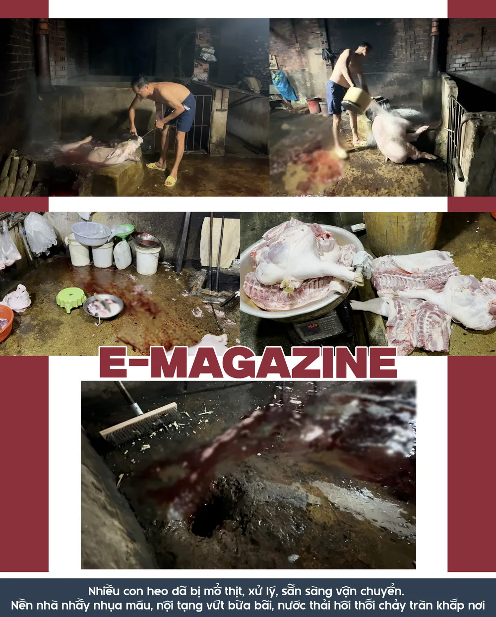 mổ heo lậu (5).png