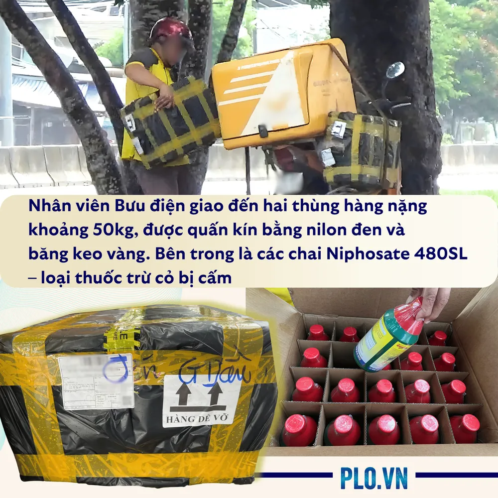 3. Nhân viên Bưu điện giao đến hai thùng hàng nặng khoảng 50kg, được quấn kín bằng nilon đen và băng keo vàng. Bên trong là các chai Niphosate 480SL – loại thuốc trừ cỏ bị cấm.png