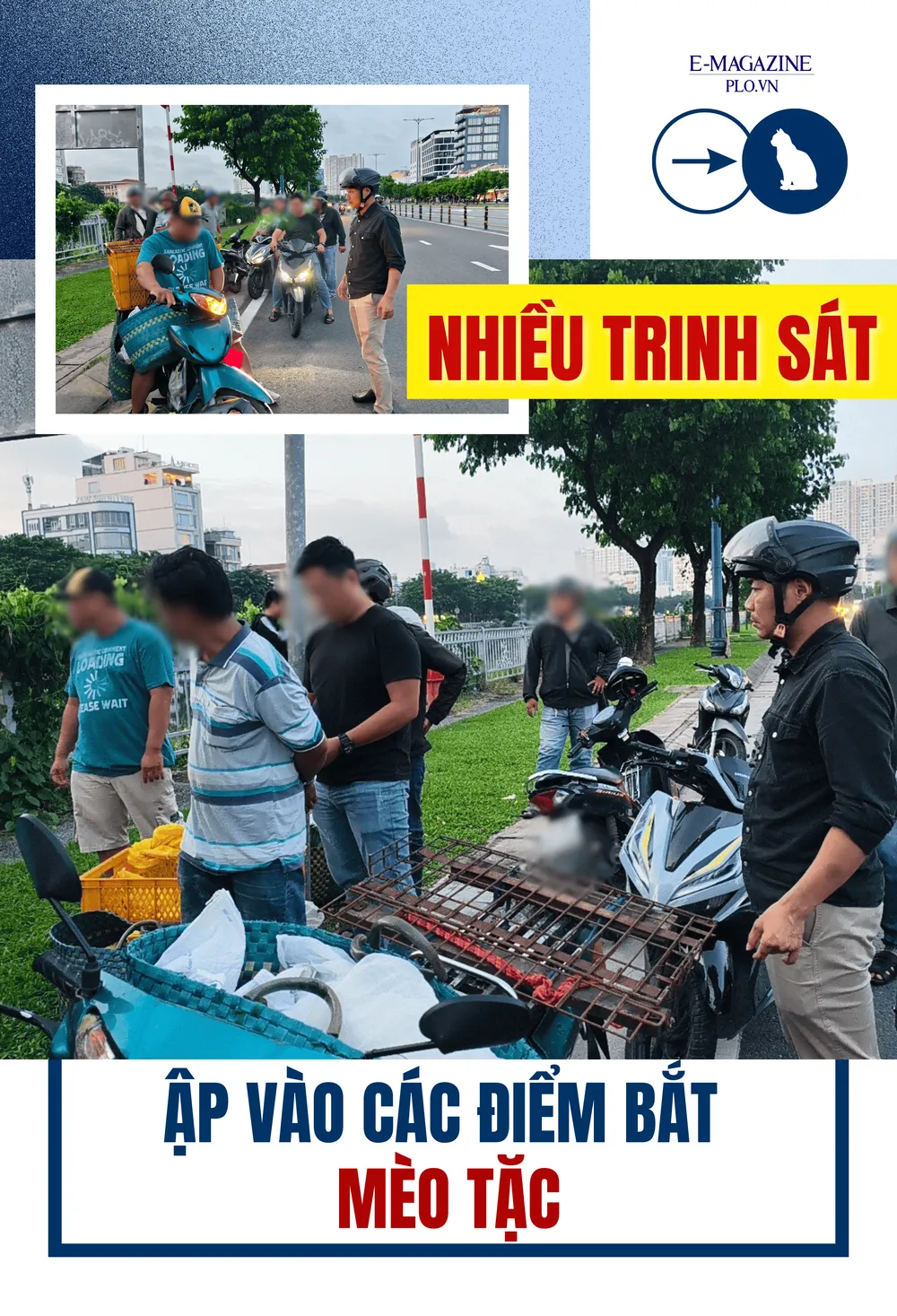 ẢNH GHÉP 7 - Nhiều trinh sát ập vào các điểm bắt mèo tặc.png