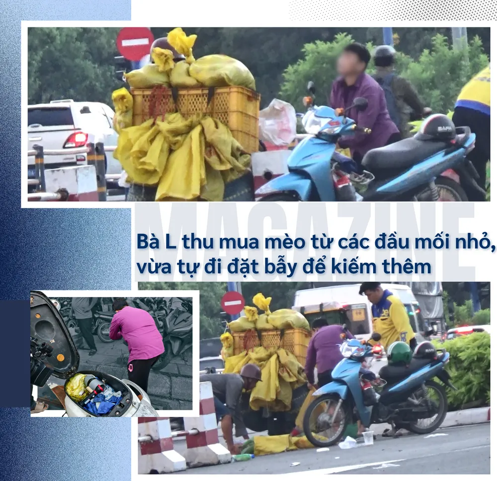 ẢNH GHÉP 4 - Hình ảnh bà Loan thu mua mèo từ các đầu mối nhỏ, vừa tự đi đặt bẫy để kiếm thêm.png