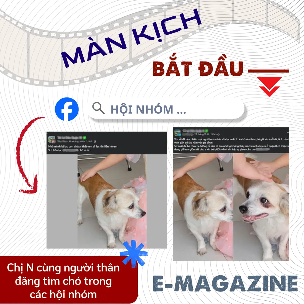 ẢNH GHÉP 1 - Các nhóm “mèo tặc” hoạt động lén lút lúc nửa đêm ở các khu dân cư cũ, bãi rác, nghĩa địa.png