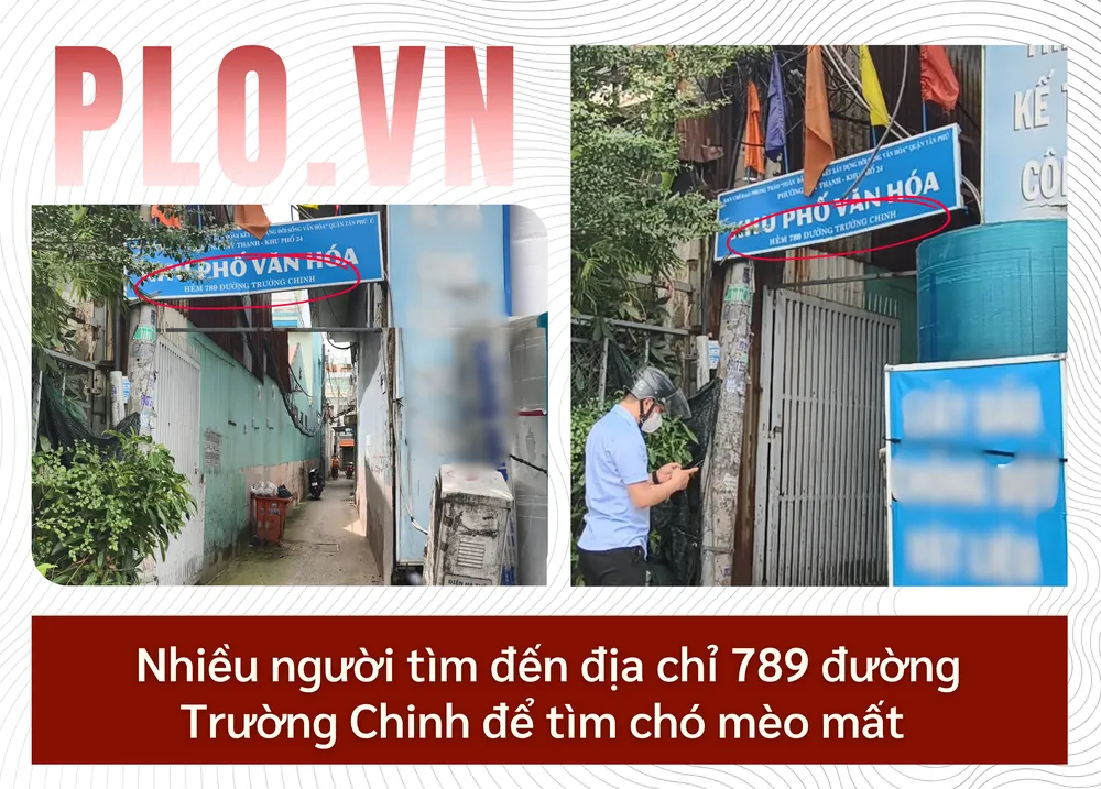 ẢNH GHÉP 12 - Nhiều người tìm đến địa chỉ 789 đường Trường Chinh để tìm chó mèo mất.png