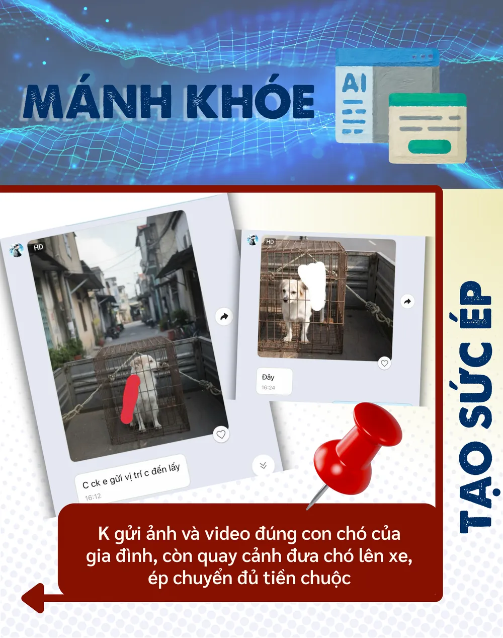 ẢNH GHÉP 2 - K gửi ảnh và clip đúng con chó của gia đình, còn quay cảnh đưa chó lên xe, ép phải chuyển đủ tiền chuộc.png