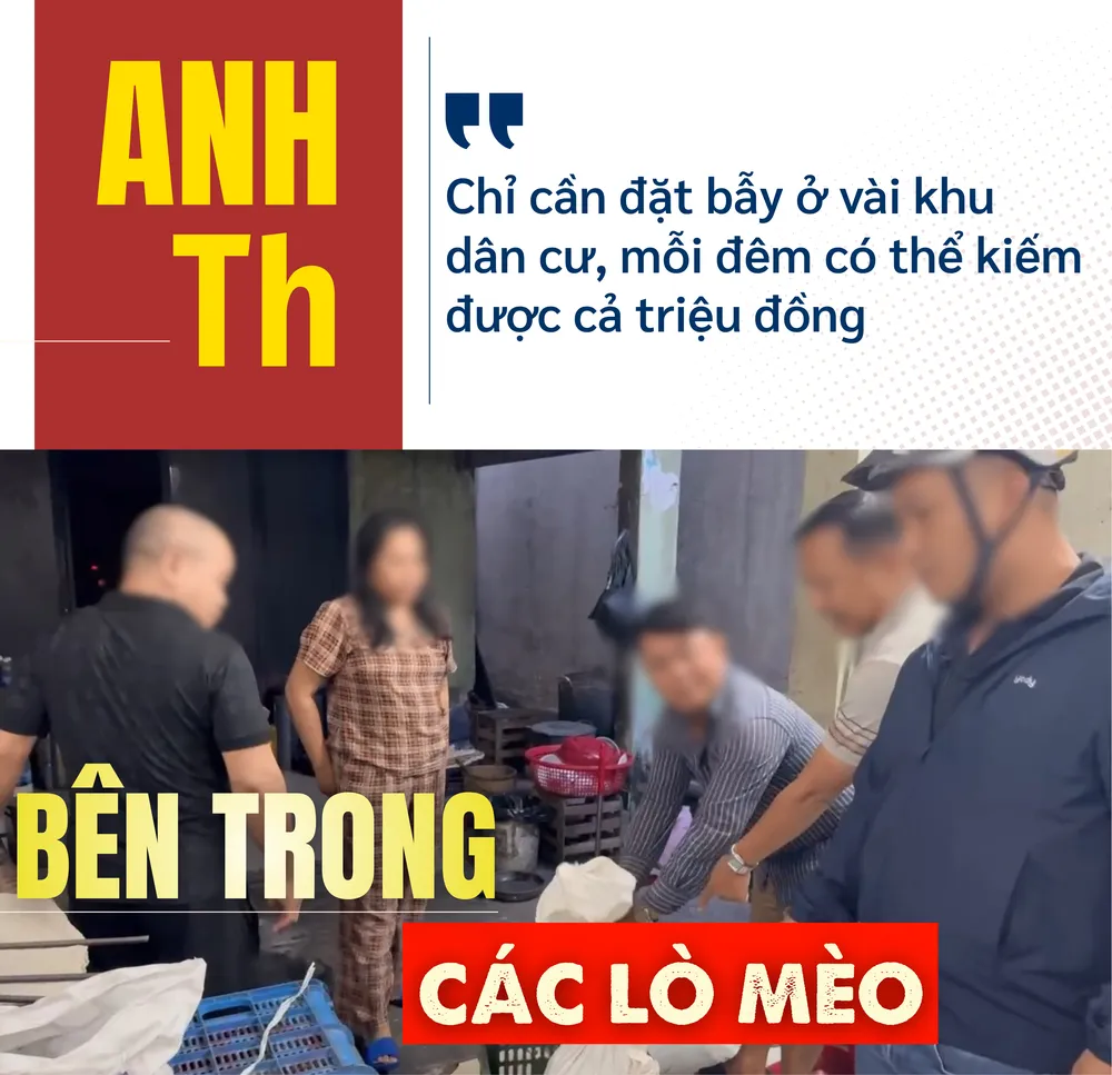 mèo tặc.png