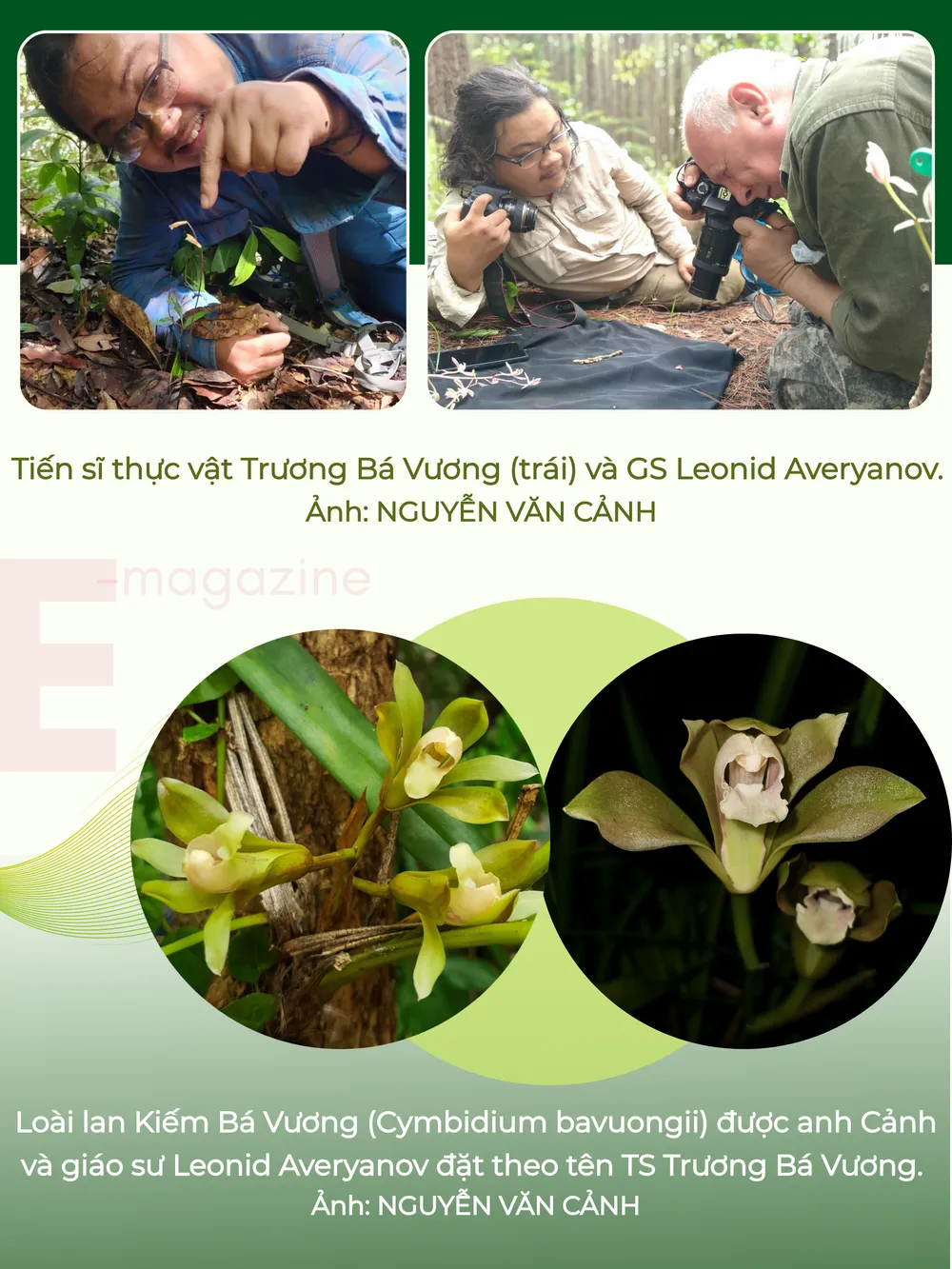 GHÉP CỤM HÌNH 3.png