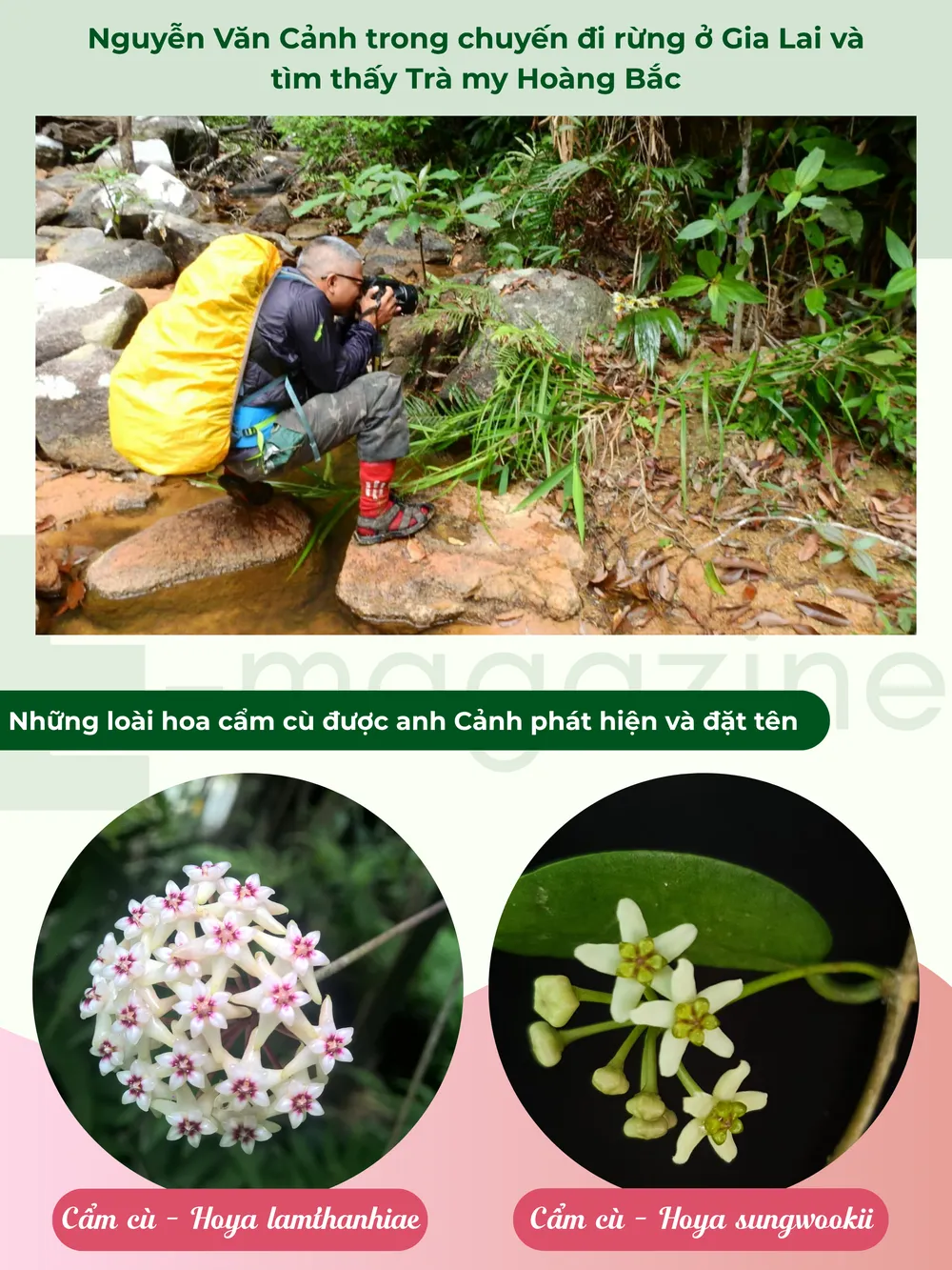 GHÉP CỤM HÌNH 6.png