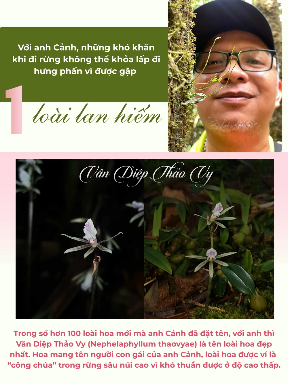 GHÉP CỤM HÌNH 7.png