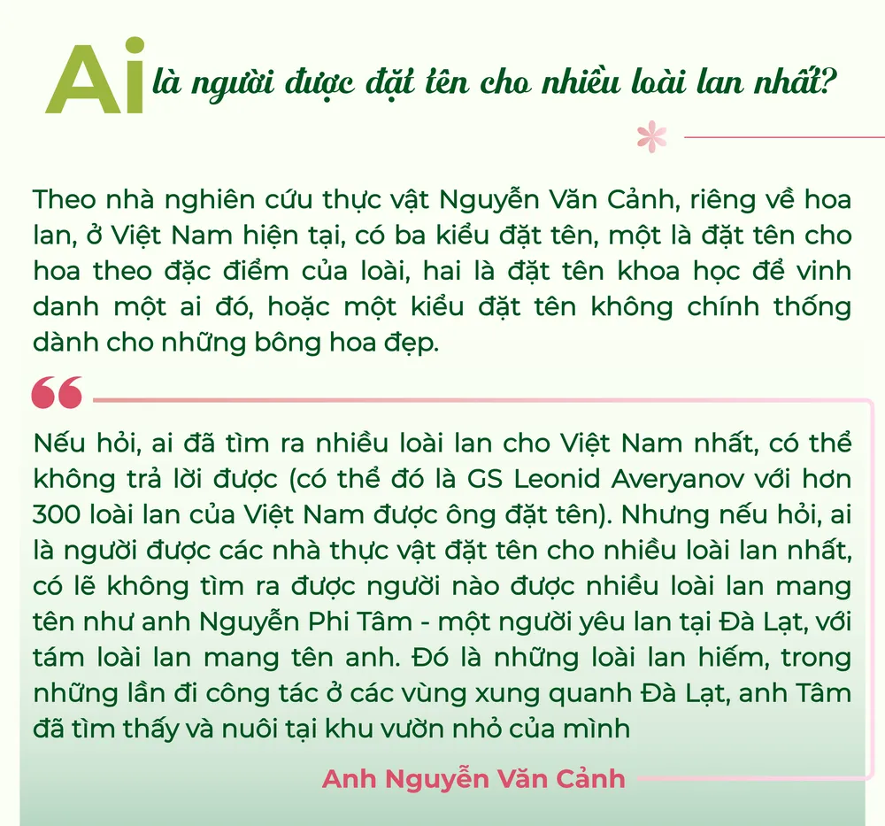Nguyễn Văn Cảnh (2).png