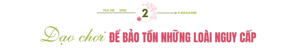 Nguyễn Văn Cảnh (5).png