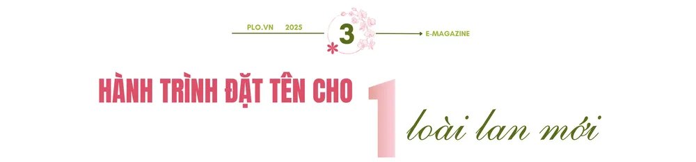 nguyễn văn cảnh.png