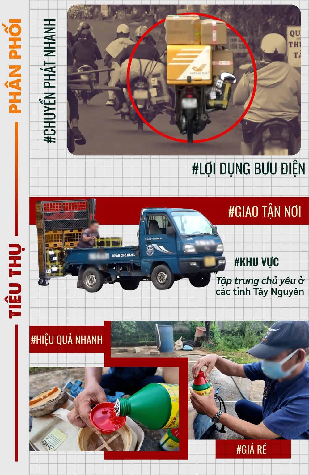 thuốc cấm (4).png