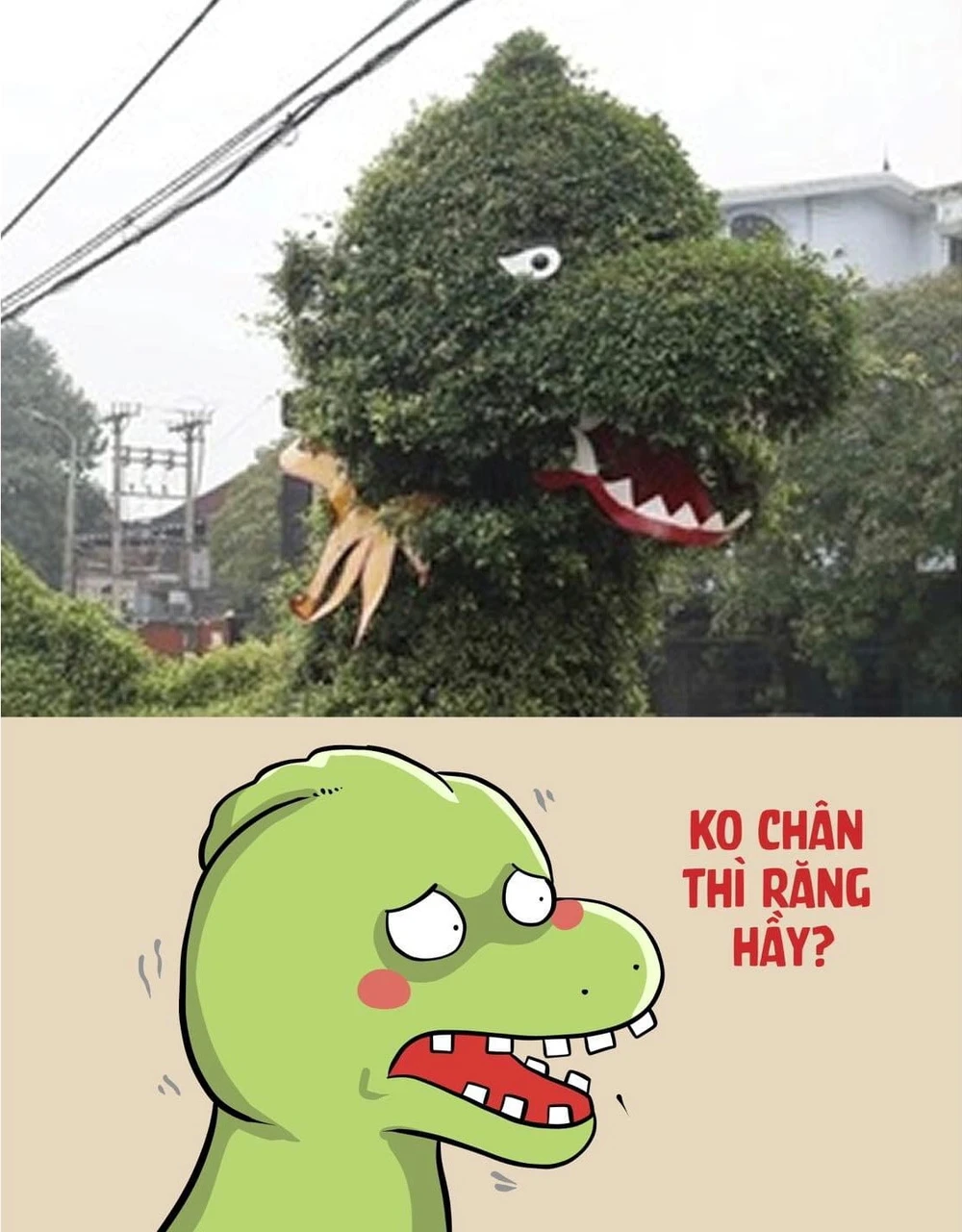 linh vật rồng 2.jpg