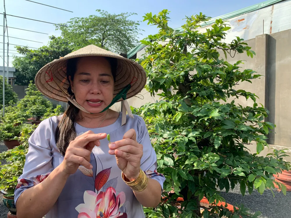 kiếm tiền tỉ 2.jpeg