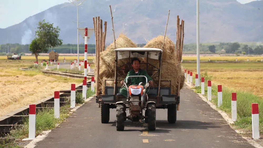 sacmaumoi vungtau 2.jpg