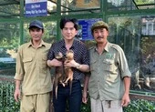 Đan Trường tặng lại 2 chú rái cá cho Thảo Cầm Viên