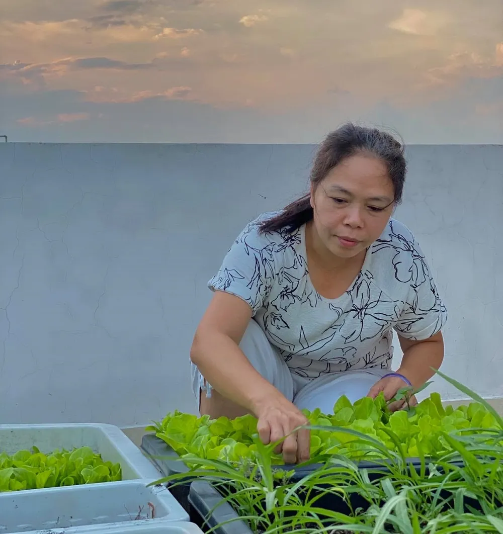 Mùa dịch, nhiều gia đình không lo thiếu rau nhờ ... sân thượng ảnh 2 Mùa dịch, nhiều gia đình không lo thiếu rau nhờ ... sân thượng ảnh 2
