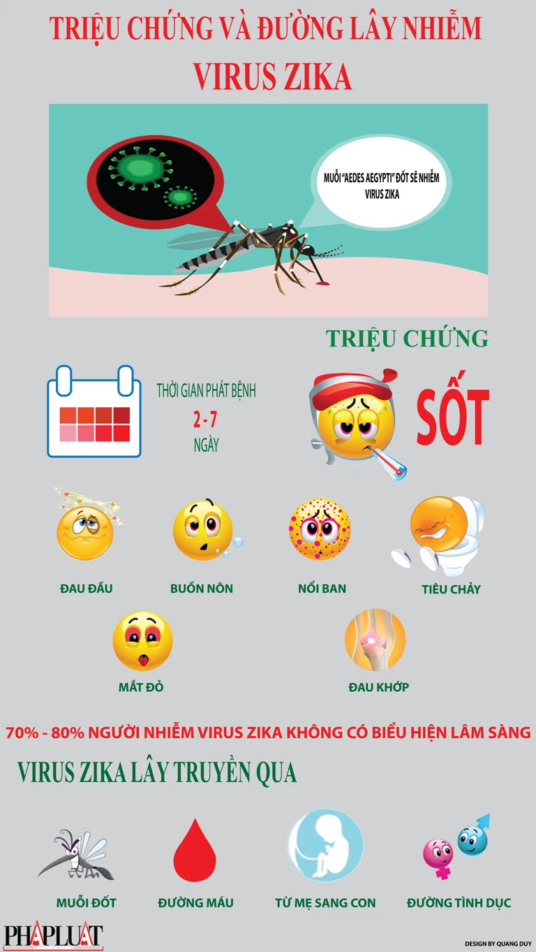 [INFOGRAPHIC] Triệu chứng và đường lây nhiễm của virus Zika ảnh 1