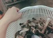 Những siêu thực phẩm nhiều dinh dưỡng giá bình dân ảnh 3 Loại siêu thực phẩm nhiều dinh dưỡng và không gây tăng cân