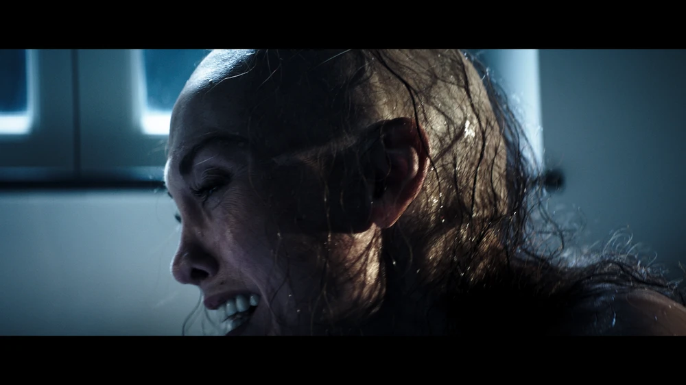 Phim nhận hàng loạt lời khen ngợi của giới phê bình.