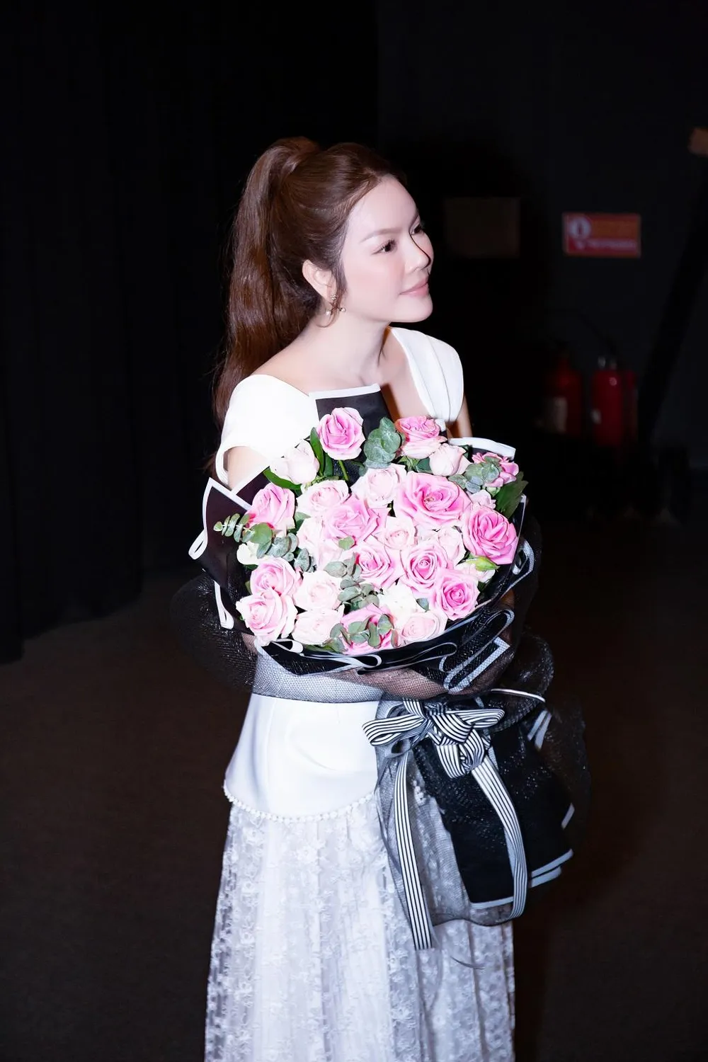 Lý Nhã Kỳ. Ảnh: PHP