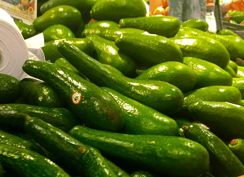 quả bơ Bơ tốt cho gan nhiễm mỡ