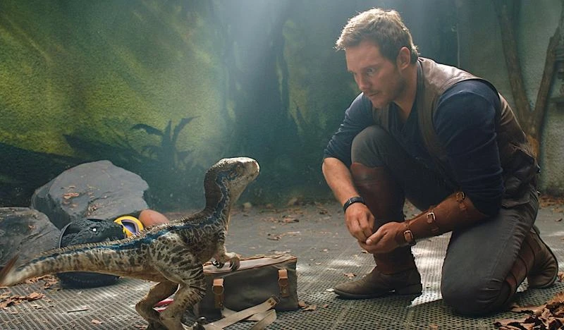 Owen và Blue: Từ người huấn luyện – vật nuôi tới bạn bè