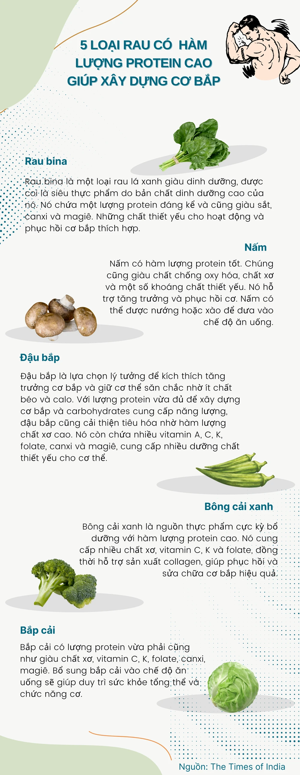 5 loại rau có hàm lượng protein cao giúp xây dựng cơ bắp