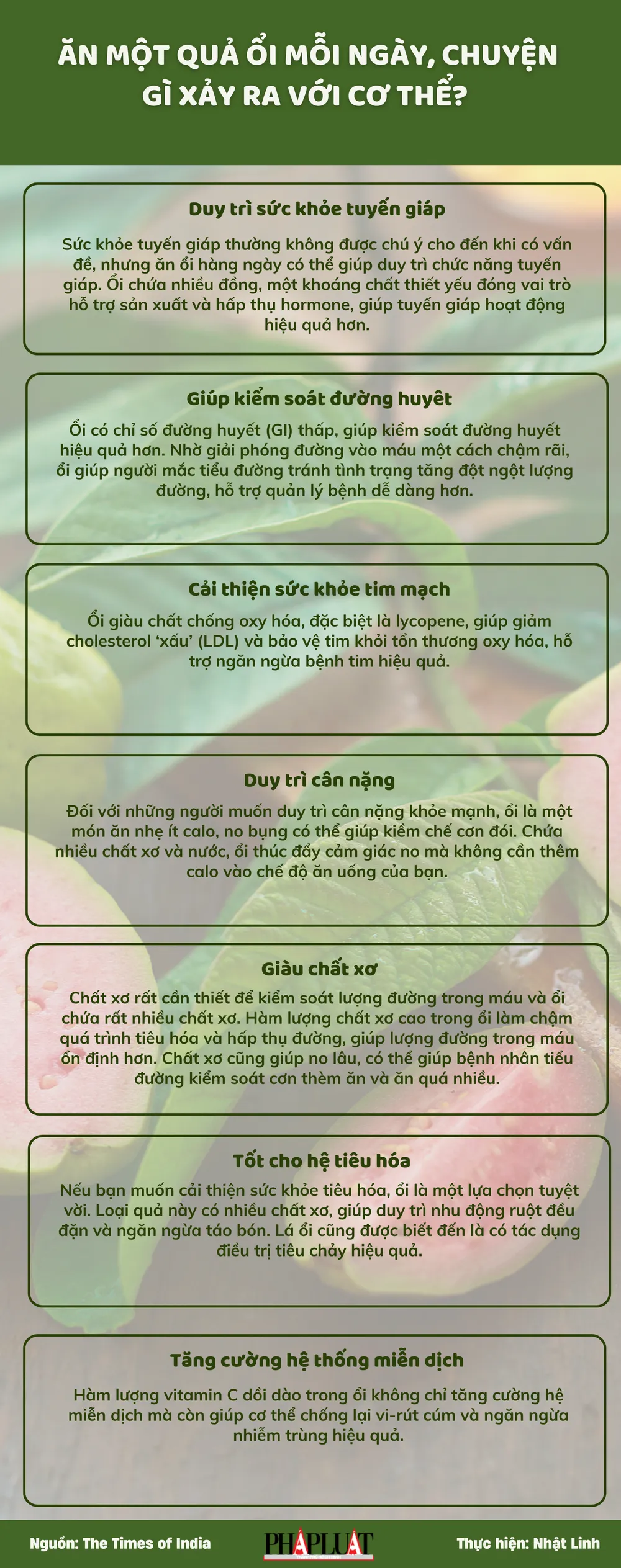 Ăn một quả ổi mỗi ngày, chuyện gì xảy ra với cơ thể?