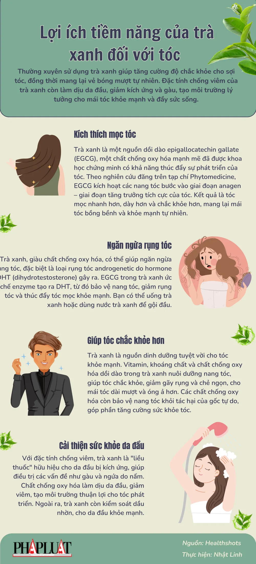 Lợi ích tiềm năng của trà xanh đối với tóc