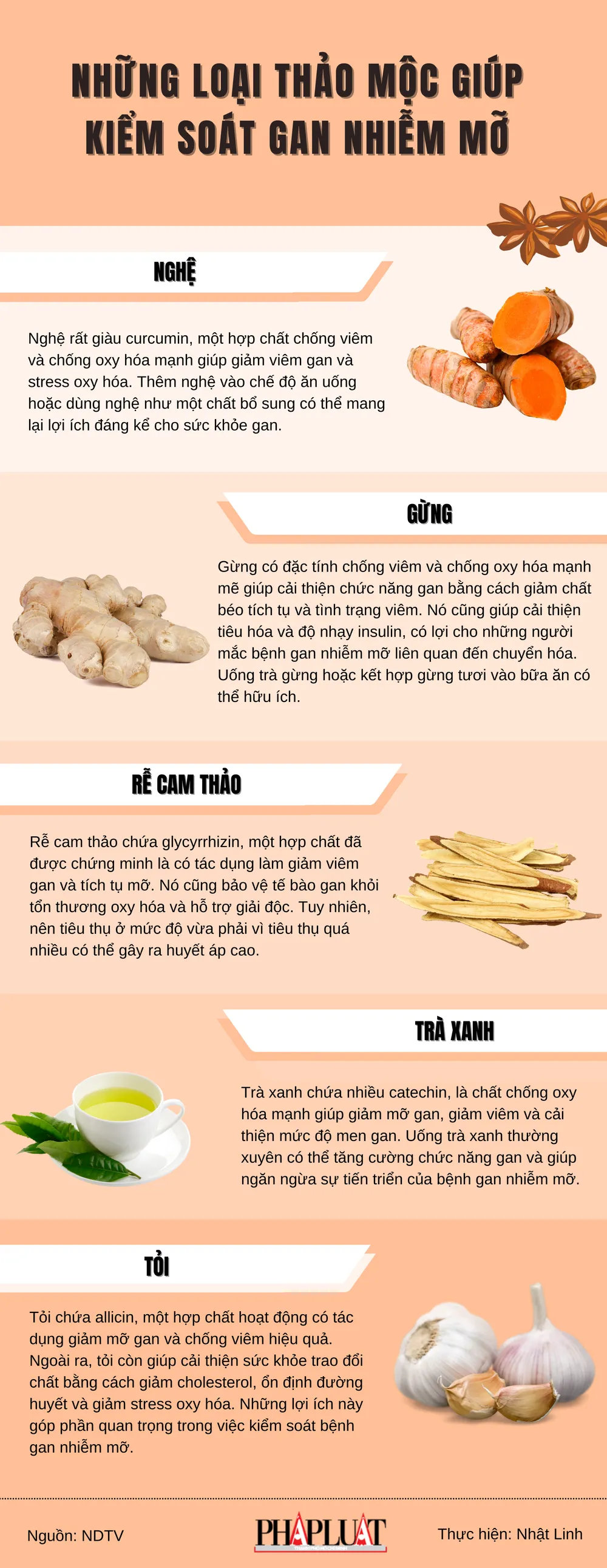 Những loại thảo mộc giúp kiểm soát gan nhiễm mỡ