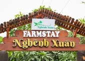 Trải nghiệm xứ dừa tại Nghênh Xuân Farmstay