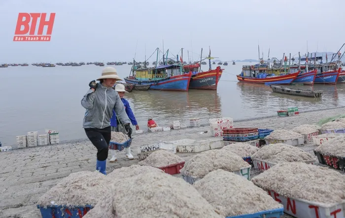 Người dân xã Ngư Lộc, huyện Hậu Lộc, vận chuyển hải sản. Ảnh: Báo Thanh Hóa Người dân xã Ngư Lộc, huyện Hậu Lộc, vận chuyển hải sản. Ảnh: Báo Thanh Hóa